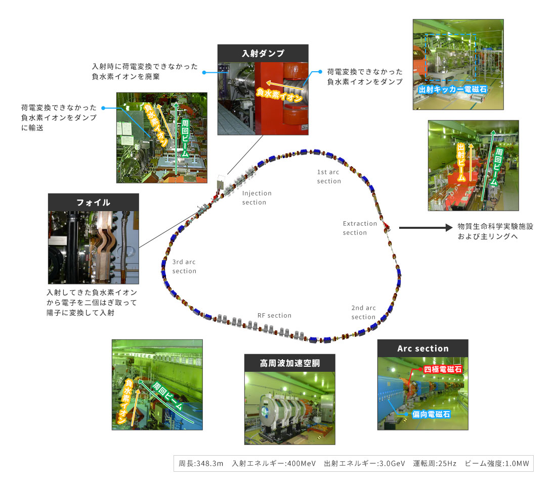 RCS施設図