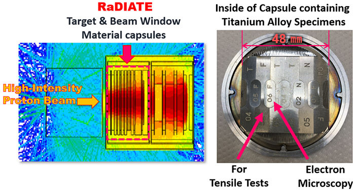 Why Does Titanium Alloy Beam Window Become Brittle After Proton Beam Exposure ? <br /> - Research and Development on the Accelerator Target and Beam Window Materials by RaDIATE International Collaboration - 