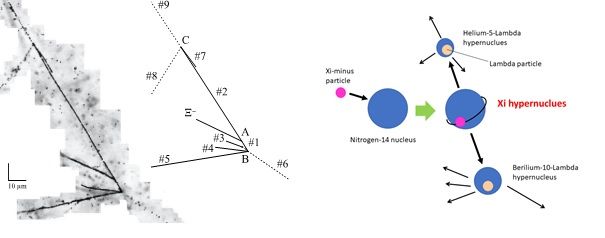 The first determination of the Xi hypernuclear mass<br /> - New insights toward understanding of the origin of nuclei and structure of neutron stars -