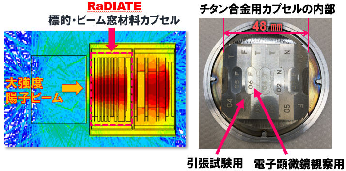 陽子ビームにさらされるとチタン合金製のビーム窓がもろくなる原因を解明<br /> - RaDIATE国際コラボレーションによる大強度加速器標的・ビーム窓材料開発 -