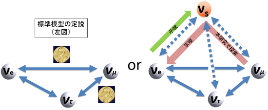 20210205_02-図2 標準理論で考えられているニュートリノ振動 (左) と、近年示唆されているステライル