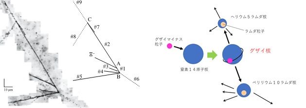 稀少な超原子核「グザイ核」の質量を初めて決定 <br />- 原子核の成り立ちや中性子星の構造を理解する新たな知見 -