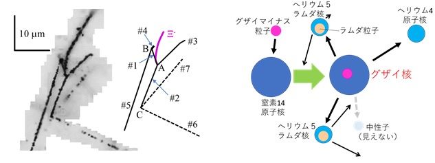 「グザイ核」の内部構造、ついに観測成功<br />- 原子核の成り立ちや中性子星の構造の理解に新たな知見 - 