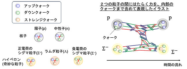 J-PARCハドロン実験施設で 奇妙な粒子と陽子の散乱現象を精密に測定<br /> - 原子核を作る力の解明に大きな前進 - 