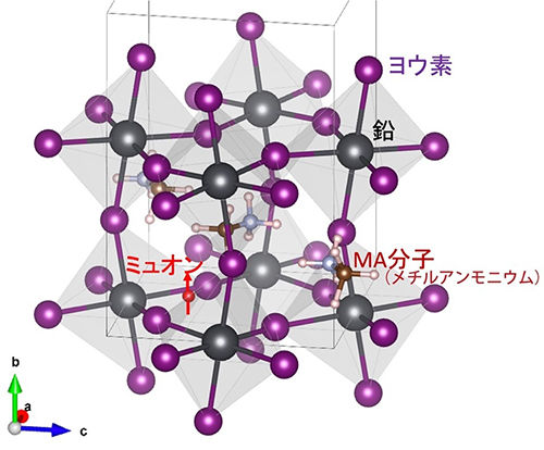 次世代太陽電池材料が高効率性を発揮するメカニズムを解明<br />- ミュオンによる観測・評価法を活用、より高効率で低コストの材料開発へ期待 -