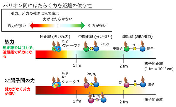 クォーク間の「芯」をとらえた<br /> - 物質が安定して存在できる理由の理解に貢献 - 