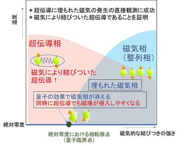 素粒子ミュオンで捉えた！超伝導に埋もれた微弱な磁気の発見<br />- 超伝導発現機構の解明に向けて前進 -