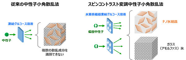 中性子と水素のスピンでナノプレート状の氷結晶観測に成功<br />ｰ 食品・医薬品・細胞組織の凍結保存技術開発への貢献に期待 -