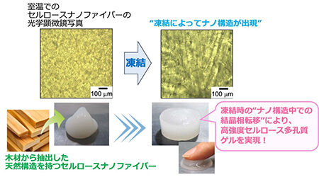 天然素材のセルロースを凍らせるだけ！強い機能性ゲル材料を新たに開発<br />- 凍結によるセルロースの結晶相転移と簡易なゲル合成法を発見 -