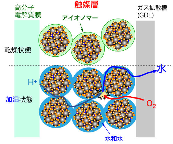 燃料電池の未来を拓く<br />- 触媒層内の