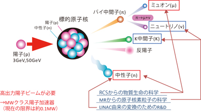 どのように使われるか