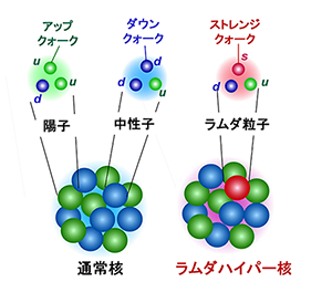 重いハイパー核 (フッ素19ラムダハイパー核<sup>19</sup><sub>Λ</sub>F）の構造解明に成功