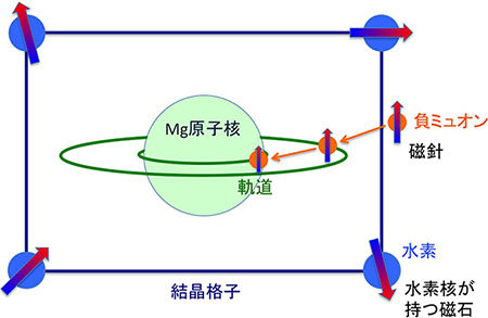 負のミュオン素粒子で視る物質内部