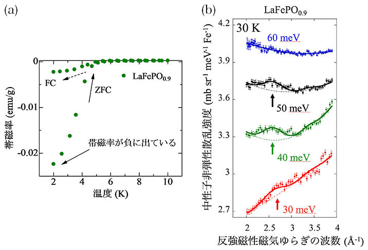 鉄リン系超電体で高エネルギーの反強磁性磁気ゆらぎを世界で初めて発見