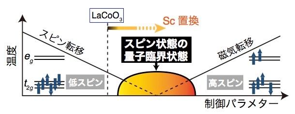 コバルト酸化物でスピンの量子重ね合わせ状態を創出