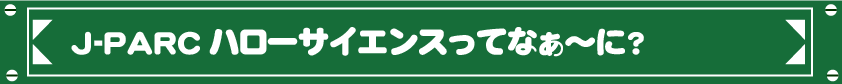 開催スケジュール