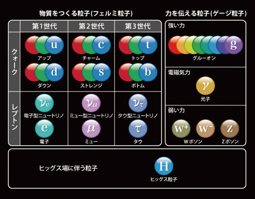 標準論理に登場する17種類の素粒子