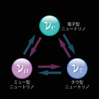 ニュートリノ振動のイメージ