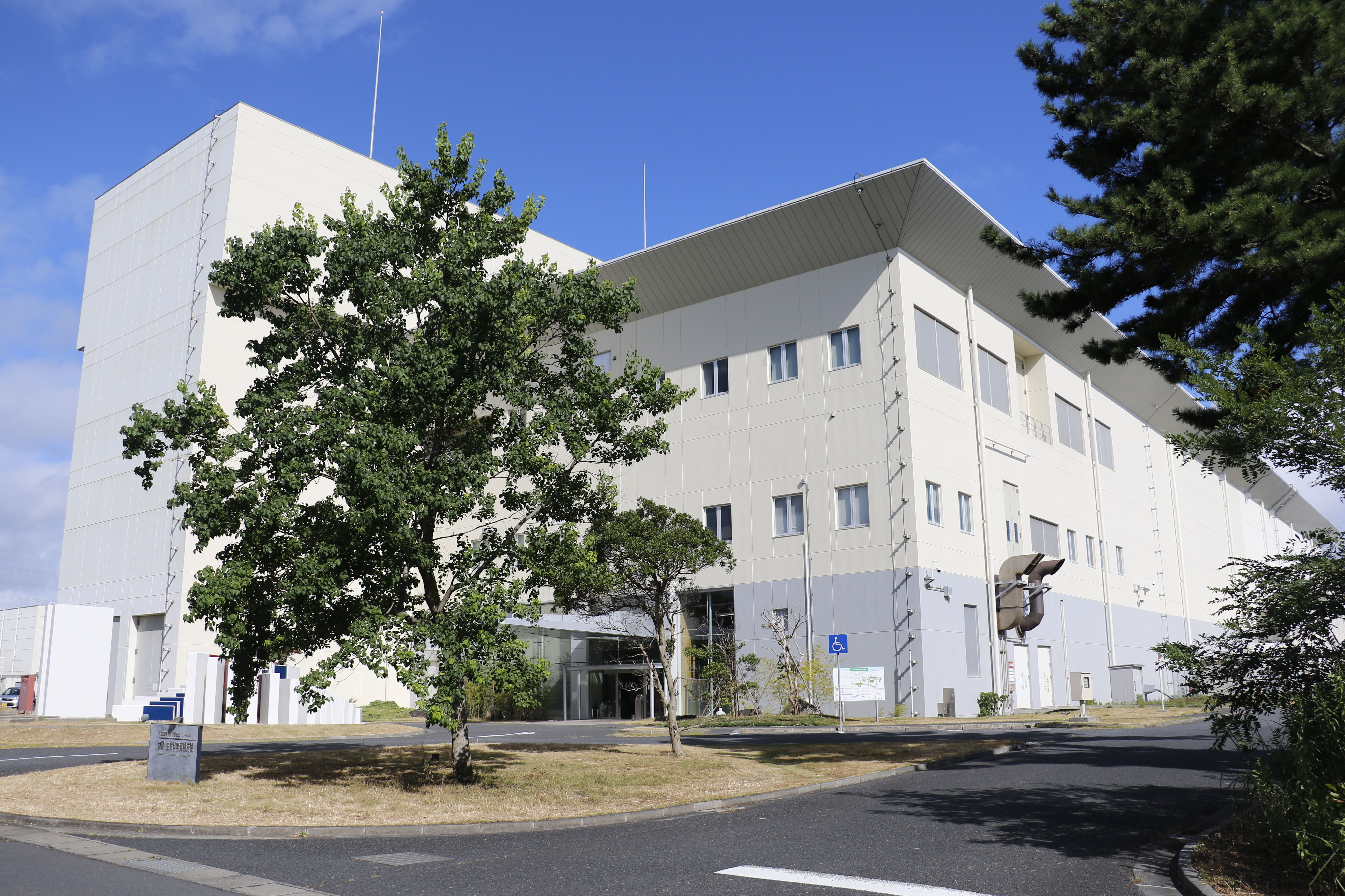 MLF exterior in summer【3-001】