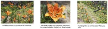 news207_6