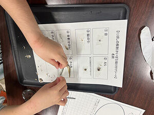 J-PARCTopics20260117_02ms