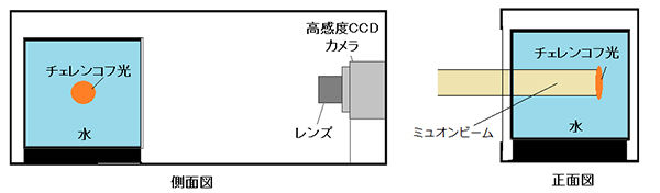 発光イメージングを用いてミュオンビームの分布計測に成功：<br />ビームの精度管理や素粒子研究への応用に期待