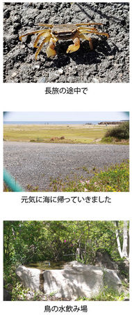 news193_7.jpg