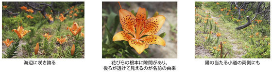 news207_6.jpg