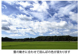 news208_8.jpg