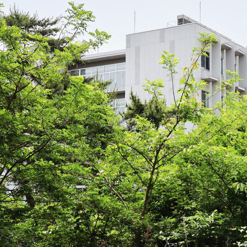 J-PARC News 第229号