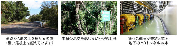 news256_6.jpg