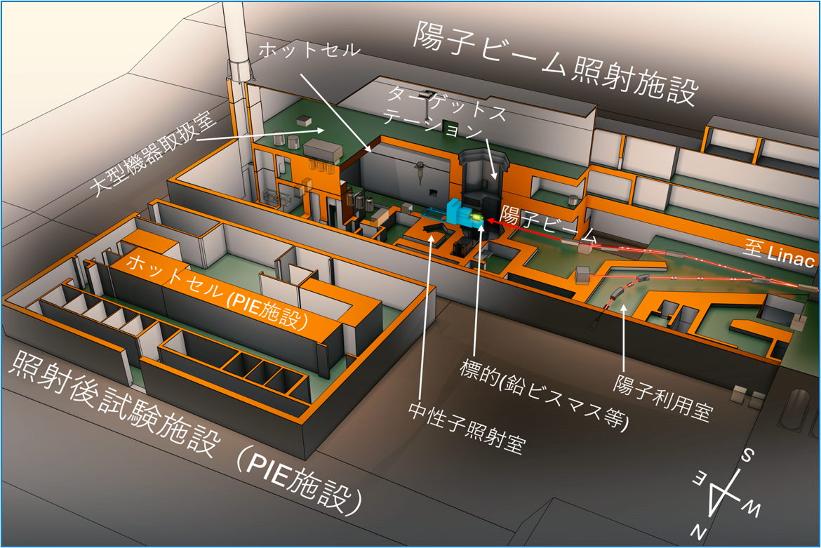 量子ビーム応用研究