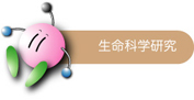 生命科学研究