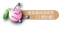 核変換技術研究（2期計画）