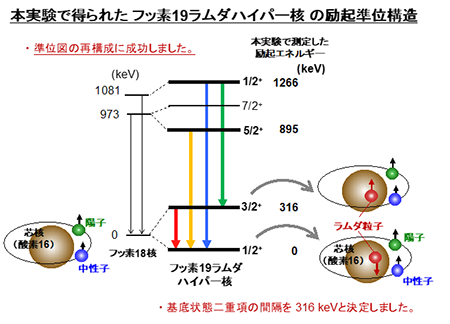 本実験で得られたフッ素19ラムダハイパー核の励起準位構造