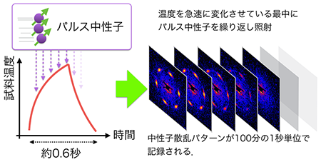 本実験で確立されたストロボスコピック中性子小角散乱法の概念図